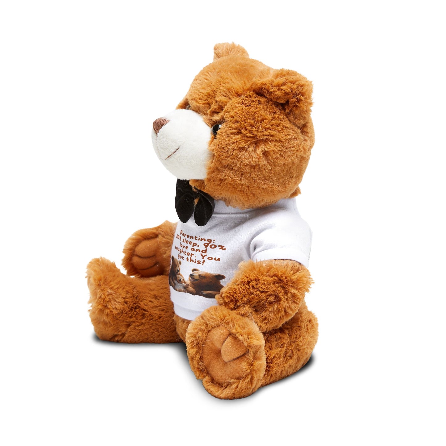 Teddy Bear with T-Shirt- You Got This